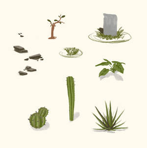 Vegetation Concept
