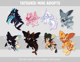 [CLOSED] Tatsukoi Mini Adopts
