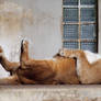 Nappy Time