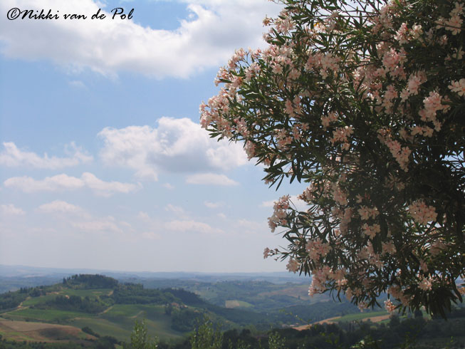 Tuscany