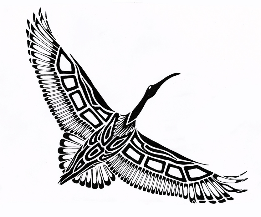 Ibis Tribal