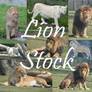 Lion Stock