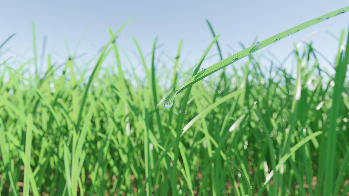 grass blade procedural texture by binary-person on DeviantArt