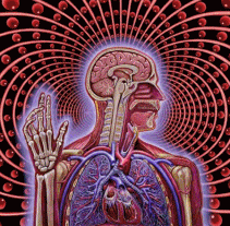 Lateralus Body Lateralus GIF by ED-Minstrel-Chief on DeviantArt