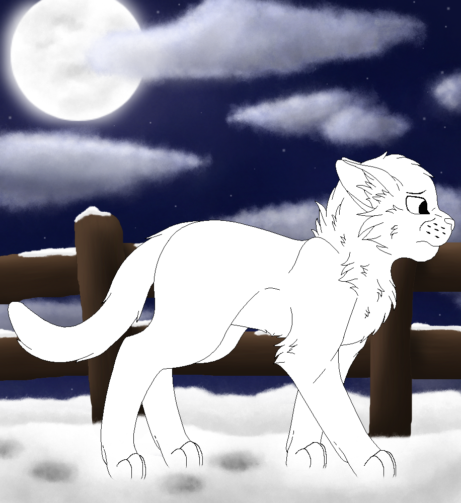 .:A Cold Winter Night:. YCH (CLOSED) by Snowy-Clover