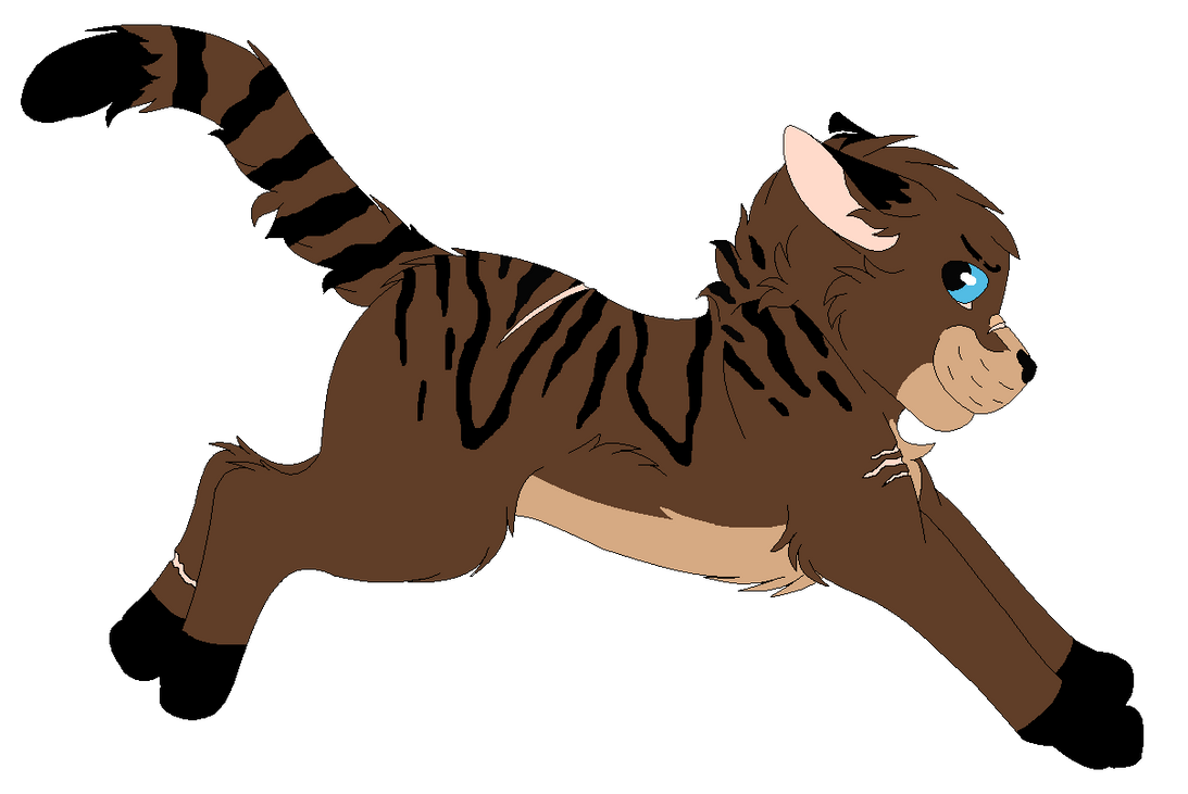 Tigerblaze Ref by Snowy-Clover