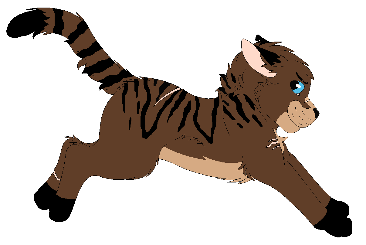 Tigerblaze Ref by Snowy-Clover