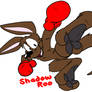 ShadowRoo Kick