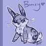 Breezy the bunny