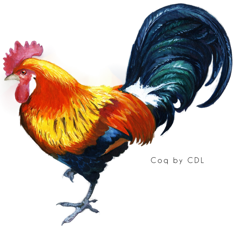 Coq - Cock PNG