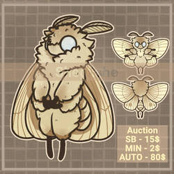 Adopt auction CLOSED / silent moth