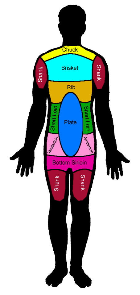 human cuts by lightinthew00ds on DeviantArt