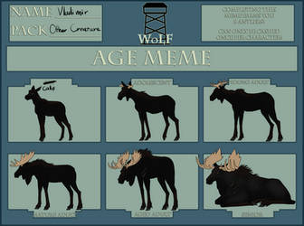 WoLF - Vlad Age Meme