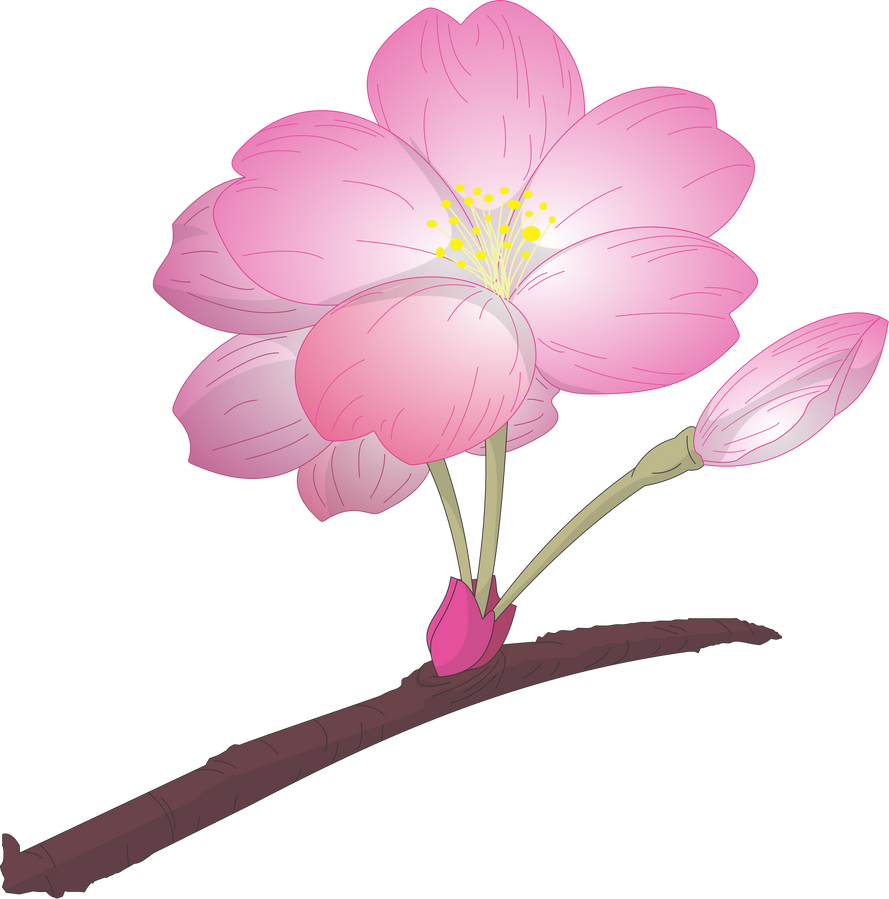Bunga Imlek Png - Nusagates