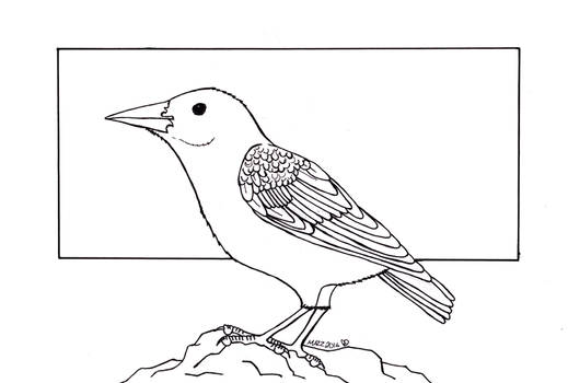 Common Starling Inks