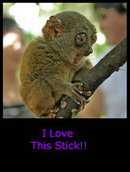 StickStick