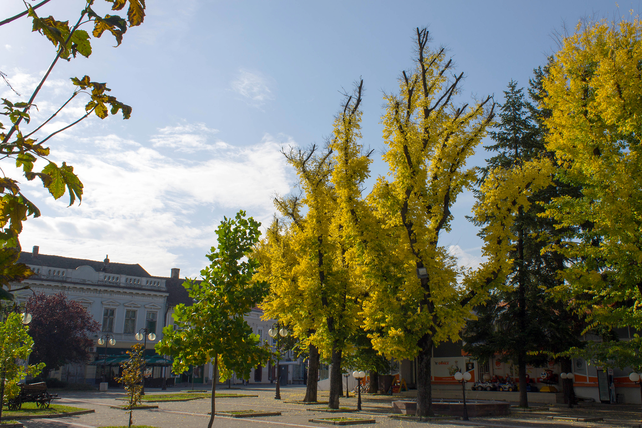 Autumn in my Town