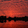 Bloody Sky