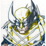 Wolvie (markers)