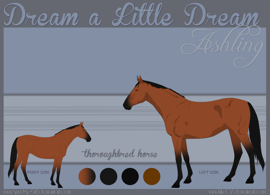 BRS: Dream a Little Dream