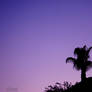 Under a Violet Sky