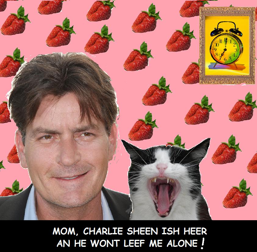 Sheen bothers cat