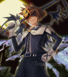 Sora nightmare before Christmas