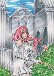 aceo  ruins