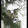 Guardian II
