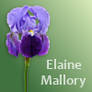 Blooming Dresden Files - Elaine Mallory