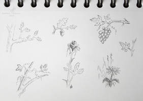 plant doodles