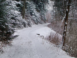Snowy Trail