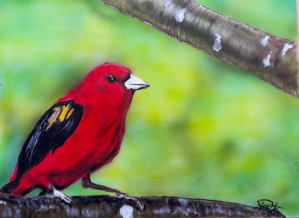 Red Bird By Michawts On DeviantArt