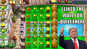 PvZ Wall Donald Trump Meme