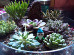 Gnome Garden Terrarium by anjel737