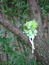 Absinthe Wormwood Green Fairy
