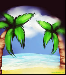 .: Palm beach :.