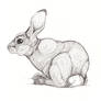 Seated Rabbit