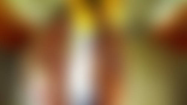 Come Fly with Me 003