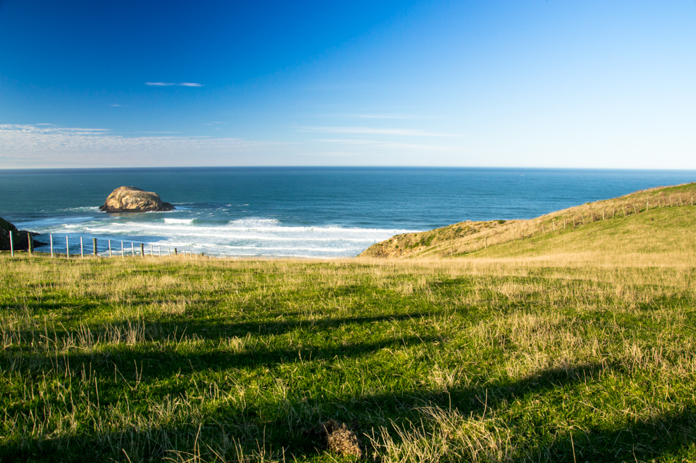 Otago peninsula