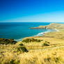 Otago peninsula 6