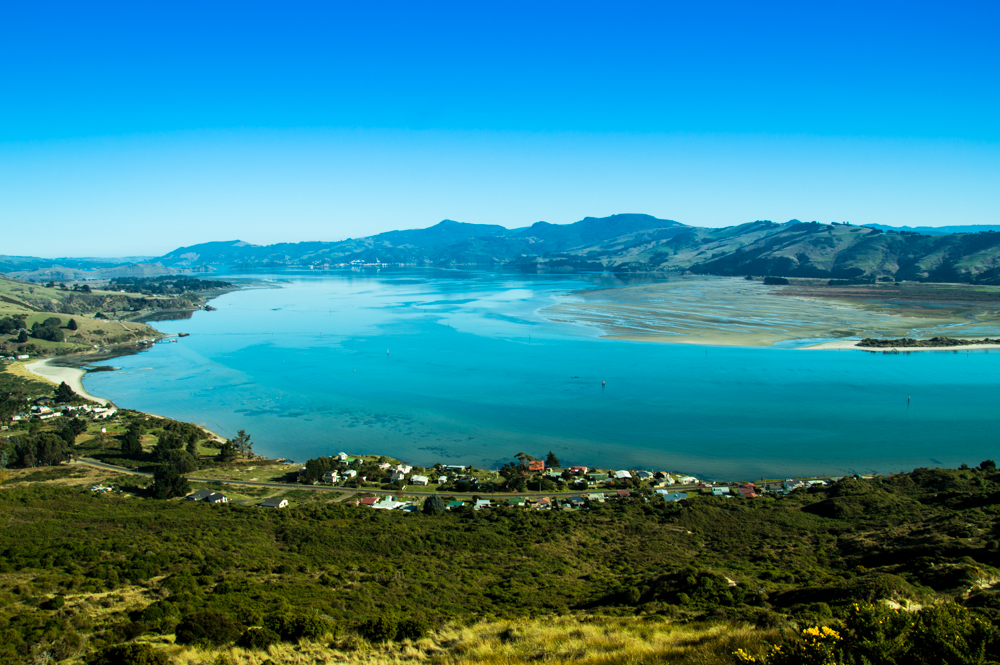 Otago peninsula 8