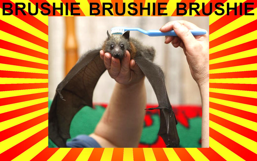 Brushie