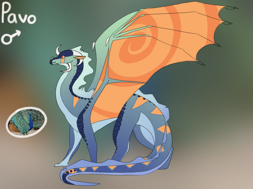 Pavo by CatPersonAtHeart on DeviantArt