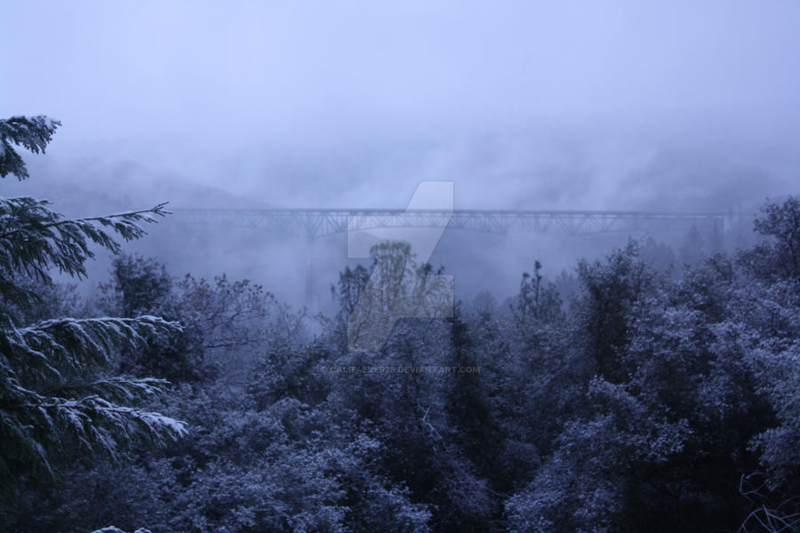 Forest Hill Bridge Auburn Ca