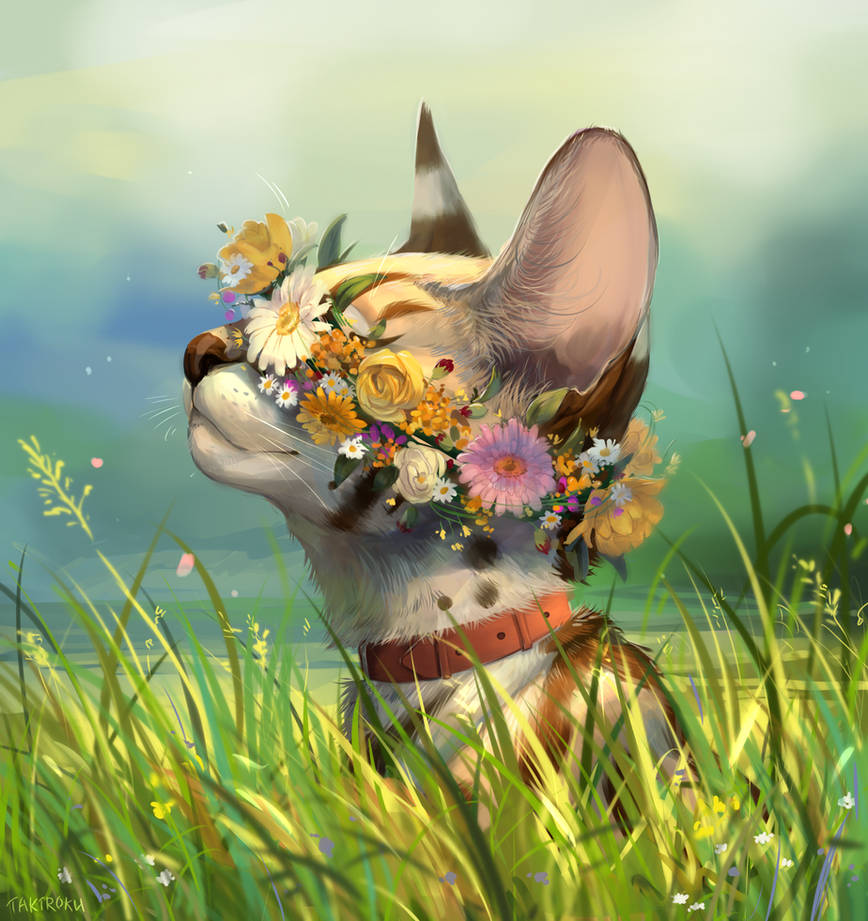С добрым утром весны прикольные смешные. Эван Лазар цветы. Позитивные иллюстрации. Добрые иллюстрации. Кошка с венком.