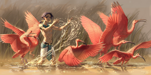 Ibises