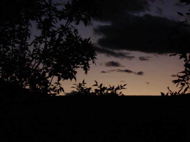 Sunset Sillouette