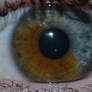 Dichromatic