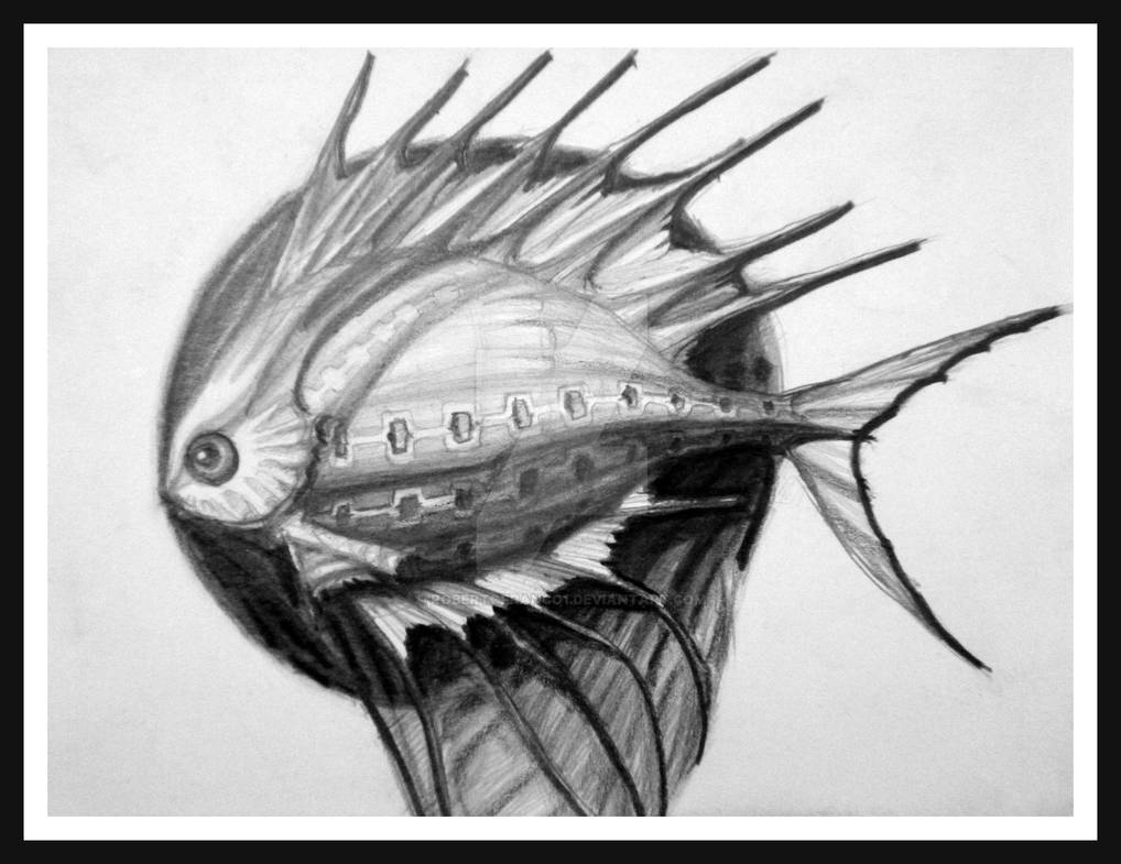 fantastic Fish by robertofranco1 on DeviantArt
